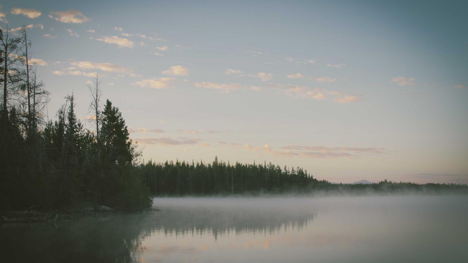 Climate Summit Concludes with Landmark Emissions Pledge