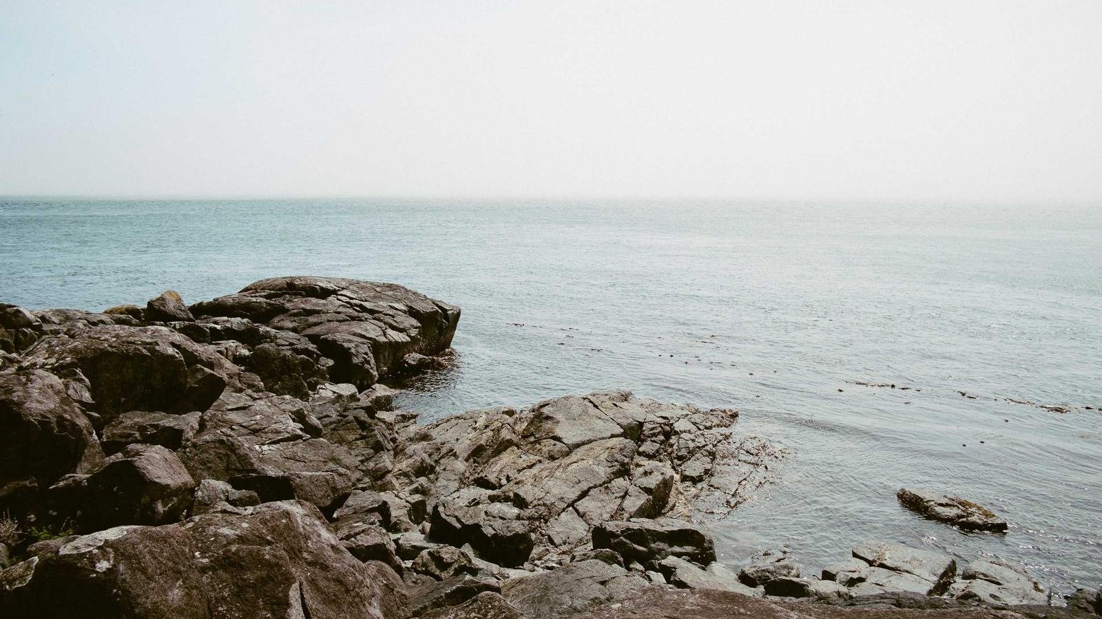 Startups Race to Commercialize Quantum Networking